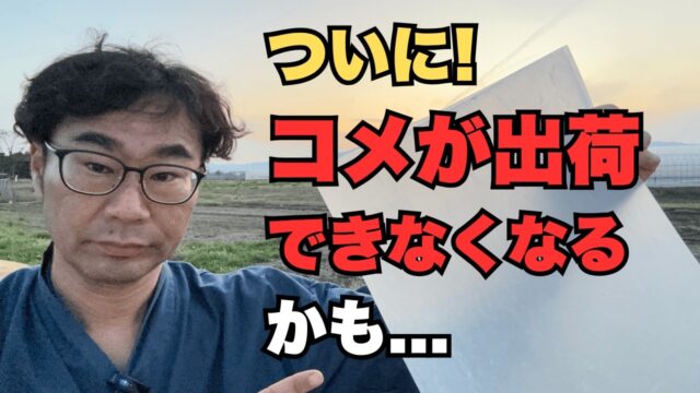 ホルムズ閉鎖で米袋が不足！出荷制限も。